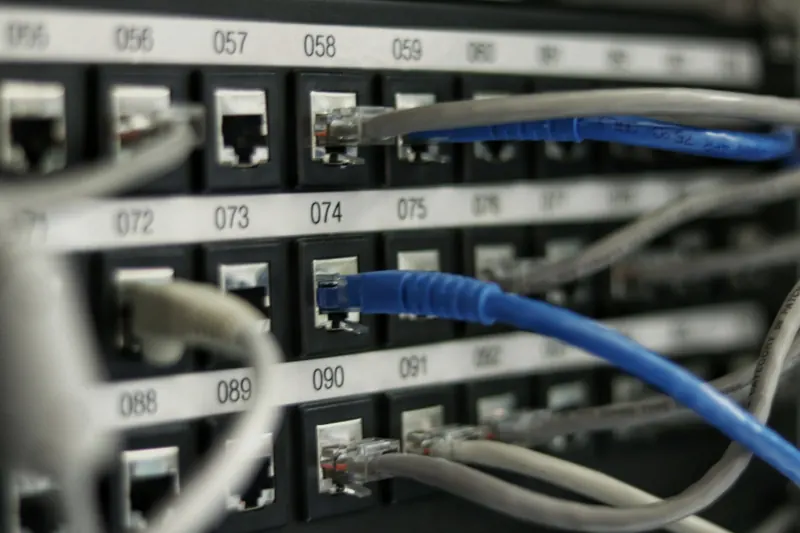Numaralı patch panel portlarına takılı mavi ve gri ağ kabloları, yakın çekim