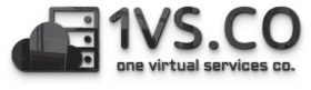 1VS